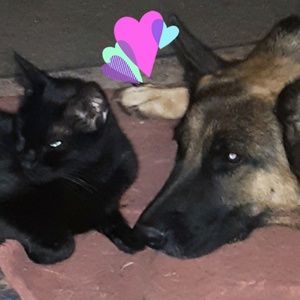 Meet your Posher, Valerie